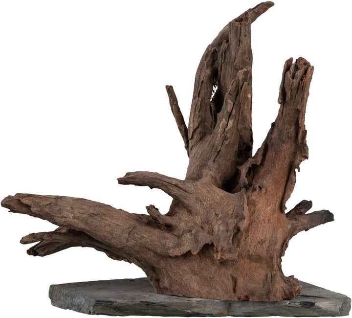 sera Scaper Wood L 30 - 35 cm - Kompaktes Wurzelholz auf Schieferplatte in zwei Grössen L (Stück von