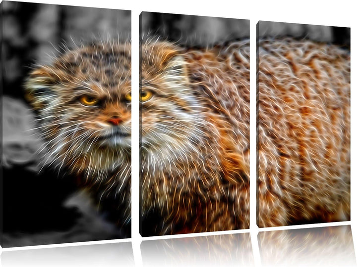 gereizte kleine Manul schwarz/weiss Deluxe 3-Teiler Leinwandbild 120x80 Bild auf Leinwand, XXL riesi