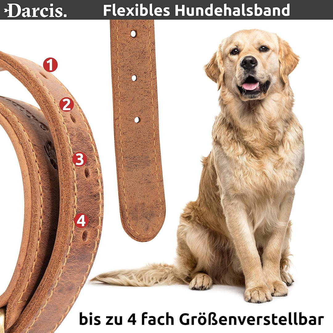 Darcis Hundehalsband Braun - Extrem Robustes Lederhalsband aus hochwertigem Rindsleder - Ideal für S
