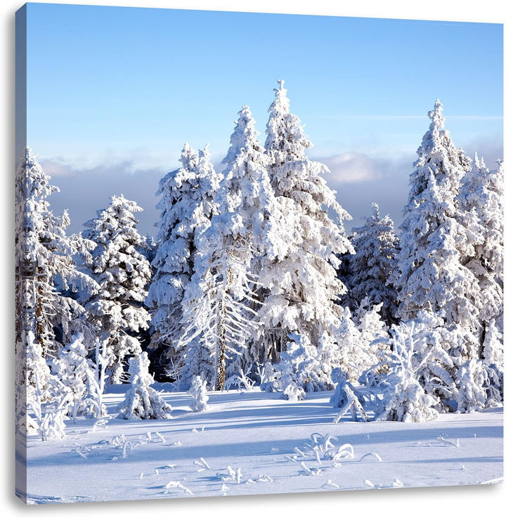 Pixxprint Winterwald, Format: 70x70 als Leinwandbild, tolle Bilder fertig auf Holzrahmen gespannt, K