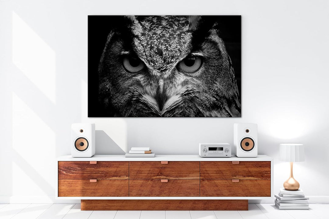 deyoli lauernde Augen einer Eule Format:90x60 cm Effekt: Schwarz/Weiss als Leinwandbild, Motiv ferti