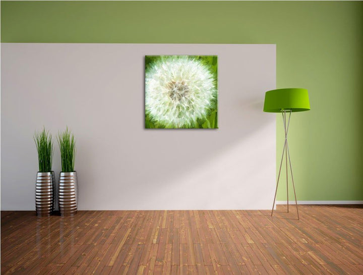 grosse wilde Pusteblume, Format: 70x70 auf Leinwand, XXL riesige Bilder fertig gerahmt mit Keilrahme