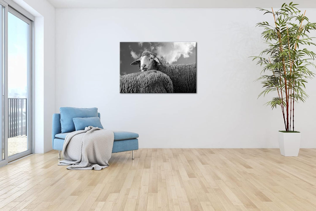 deyoli lustiges Schaf Format:90x60 cm als Leinwandbild, Motiv fertig gerahmt auf Echtholzrahmen, Hoc