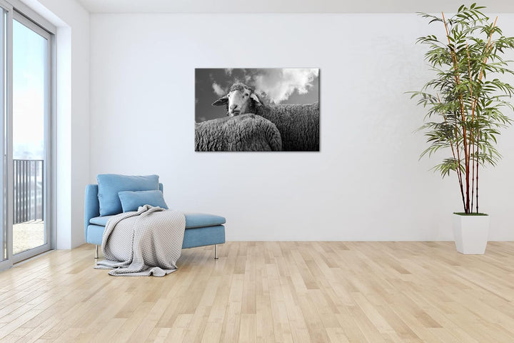 deyoli lustiges Schaf Format:90x60 cm als Leinwandbild, Motiv fertig gerahmt auf Echtholzrahmen, Hoc