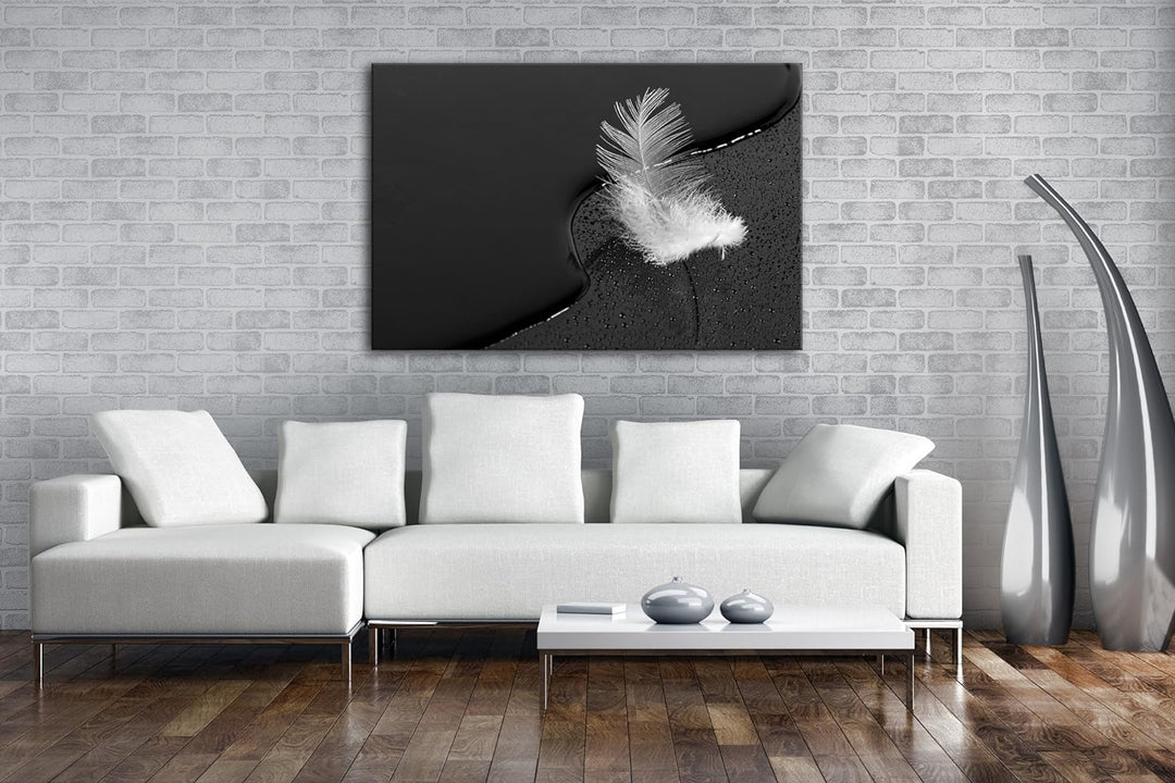 deyoli schöne Feder mit Wassertropfen Effekt: Schwarz/Weiss im Format: 60x40 als Leinwandbild, Motiv