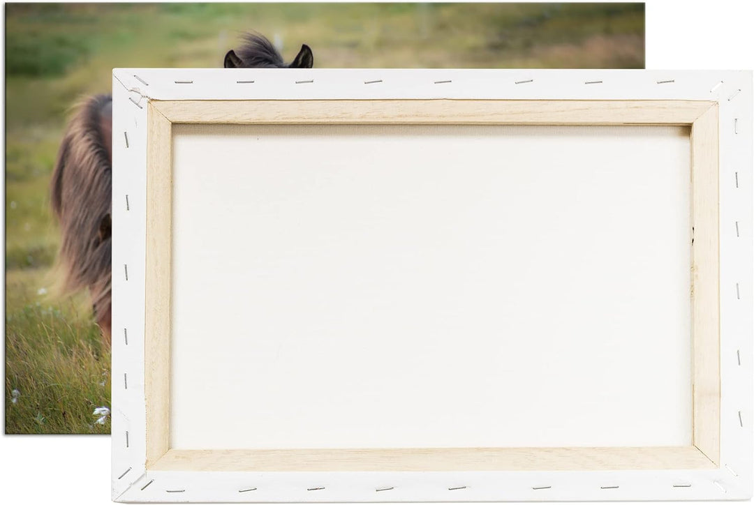 deyoli Pferdeherde auf der Feldlandschaft Format: 60x40 als Leinwand, Motiv fertig gerahmt auf Echth