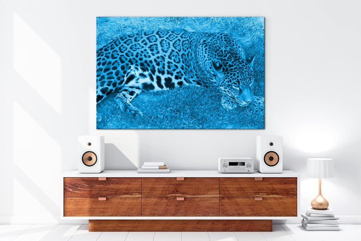 deyoli ruhig liegender Leopard Format: 80x60 Effekt: Monocrome Blau als Leinwand, Motiv fertig gerah
