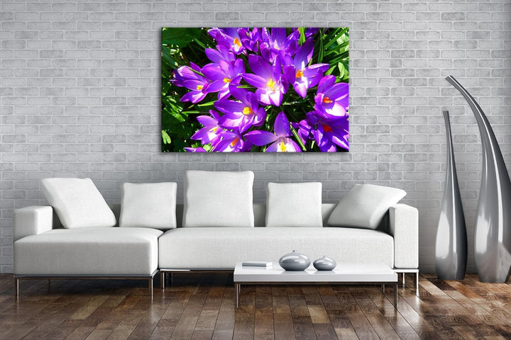 deyoli malerische Krokusse im Frühling Format: 80x60 als Leinwandbild, Motiv fertig gerahmt auf Echt