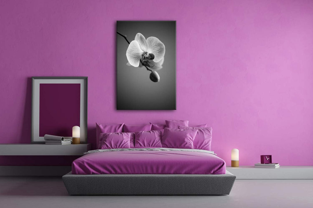 deyoli zauberhafte Orchidee Format: 100x70 Effekt: Schwarz&Weiss als Leinwandbild, Motiv fertig gera