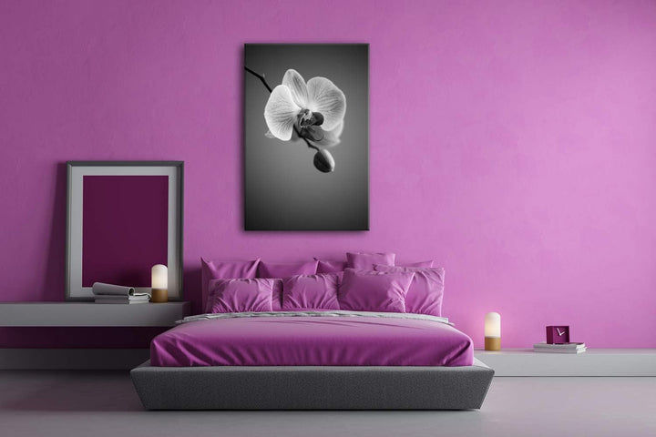 deyoli zauberhafte Orchidee Format: 100x70 Effekt: Schwarz&Weiss als Leinwandbild, Motiv fertig gera