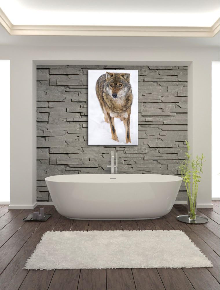 Pixxprint Wolf in Schneelandschaft auf Leinwand, XXL riesige Bilder fertig gerahmt mit Keilrahmen, K