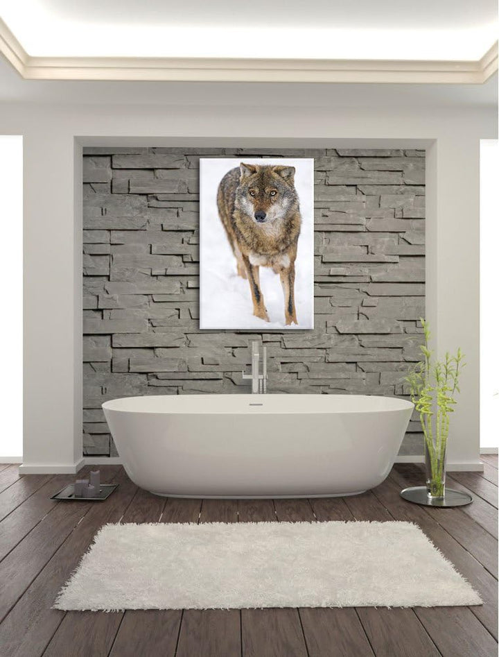 Pixxprint Wolf in Schneelandschaft auf Leinwand, XXL riesige Bilder fertig gerahmt mit Keilrahmen, K