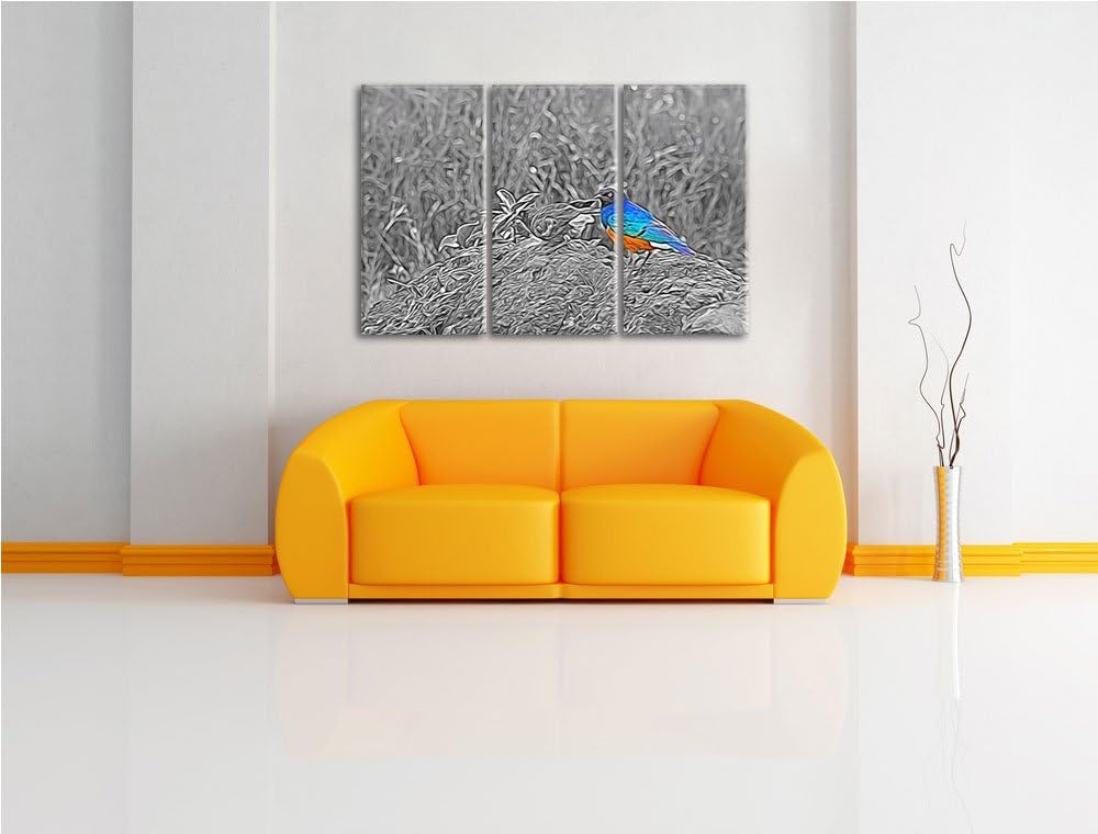 prächtige Dreifarben-Glanzstare auf einem Stein schwarz/weiss Spezial 3-Teiler Leinwandbild 120x80 B