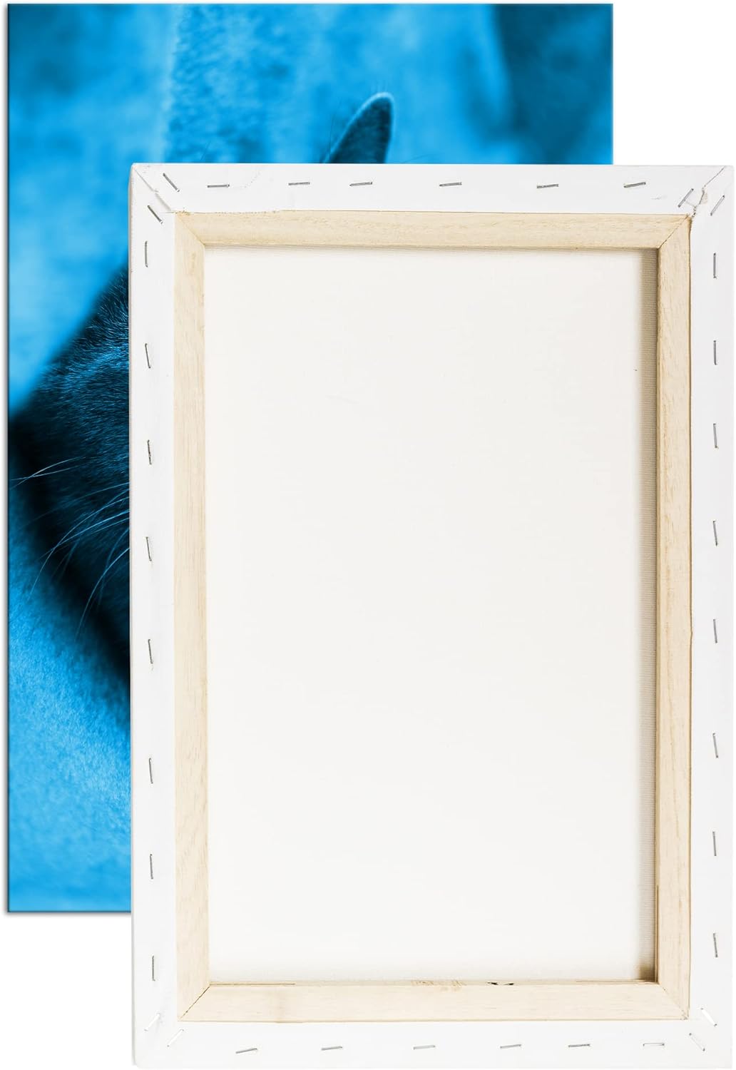 deyoli süsse Katze mit Grünen Augen Format 80x60 Effekt: Monocrome Blau als Leinwandbild, Motiv fert