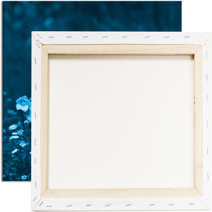 deyoli Zauberhafte Wiesenblumen Format: 60x60 Effekt: Monocrome Blau als Leinwandbild, Motiv fertig