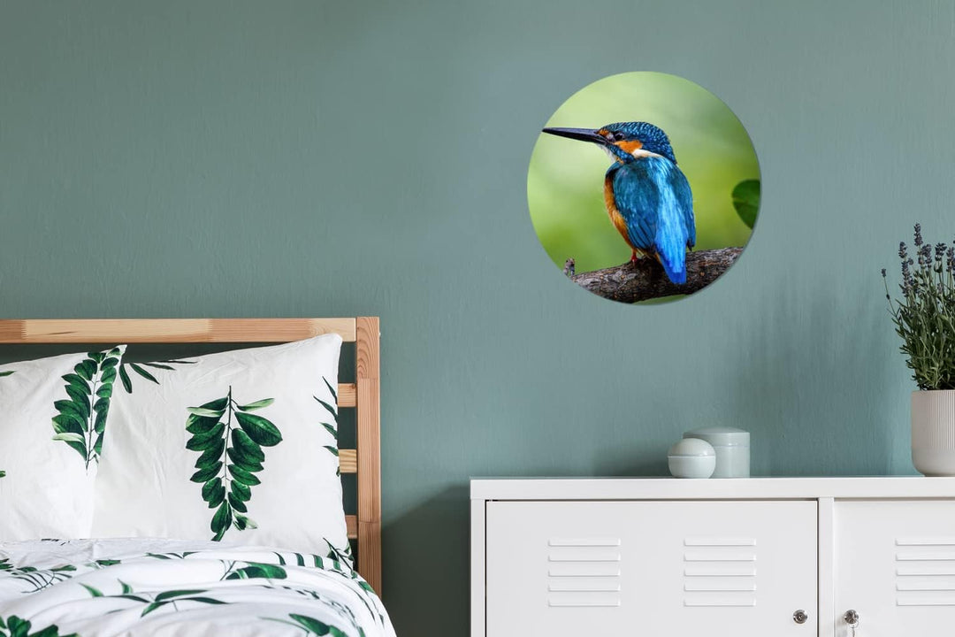 MuchoWow Wandbild Rund Wanddeko Deko Wohnzimmer Bilder 30x30 cm Eisvogel - Zweig - Blau, 30x30 cm