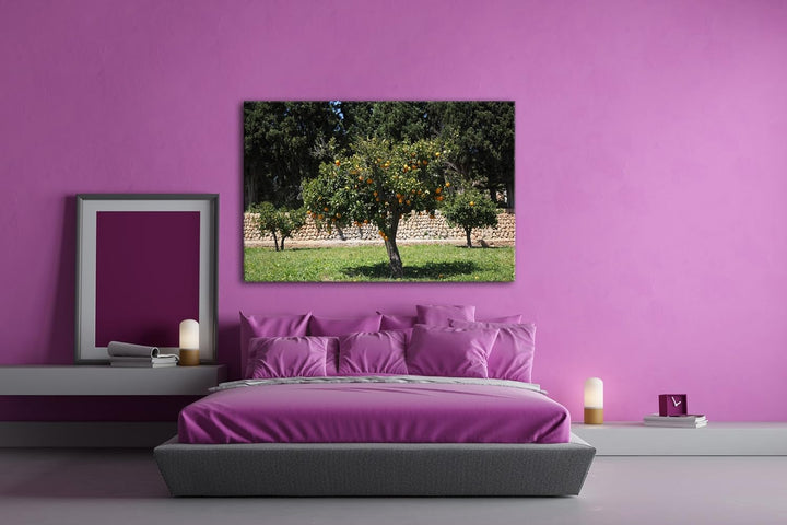 deyoli Orangenbäume im Garten Format: 80x60 als Leinwandbild, Motiv fertig gerahmt auf Echtholzrahme