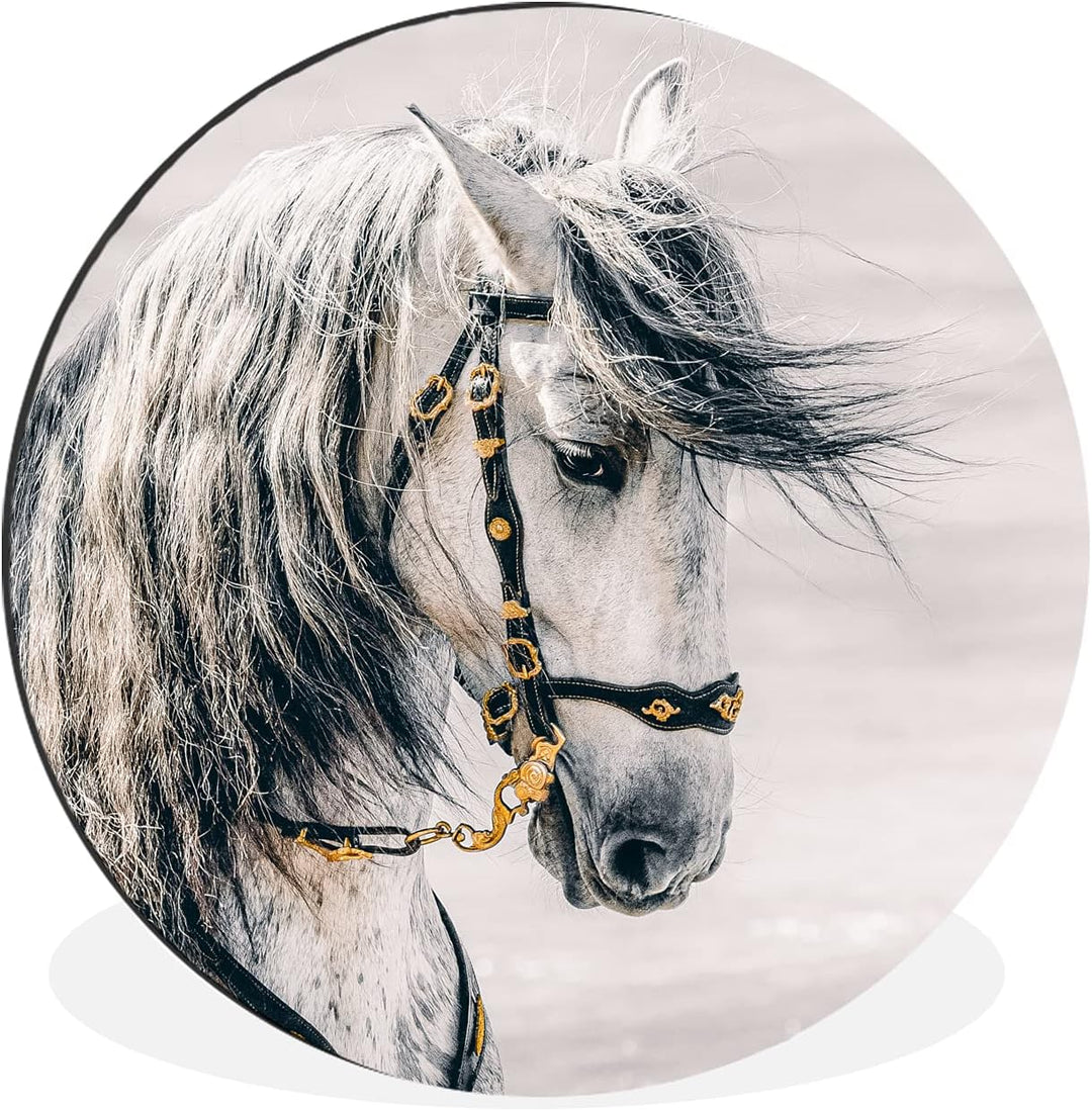 MuchoWow Wandbild Rund Wanddeko Deko Wohnzimmer Bilder 90x90 cm Pferd - Weiss - Gold, 90x90 cm