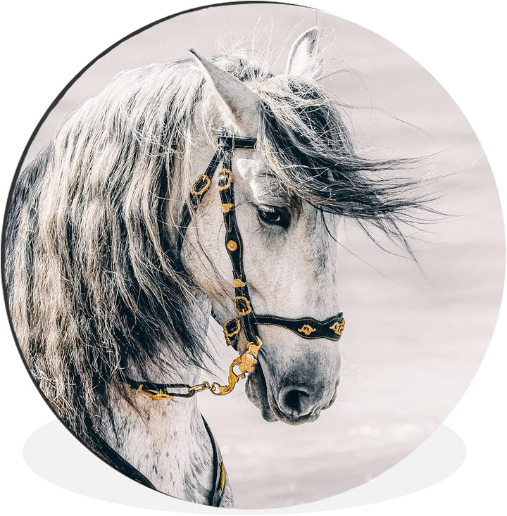 MuchoWow Wandbild Rund Wanddeko Deko Wohnzimmer Bilder 90x90 cm Pferd - Weiss - Gold, 90x90 cm