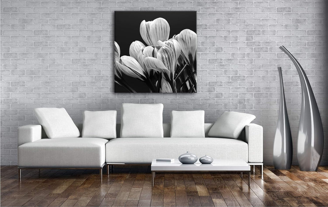 deyoli Krokusse im Frühling Format: 60x60 Effekt: Schwarz&Weiss als Leinwandbild, Motiv fertig gerah