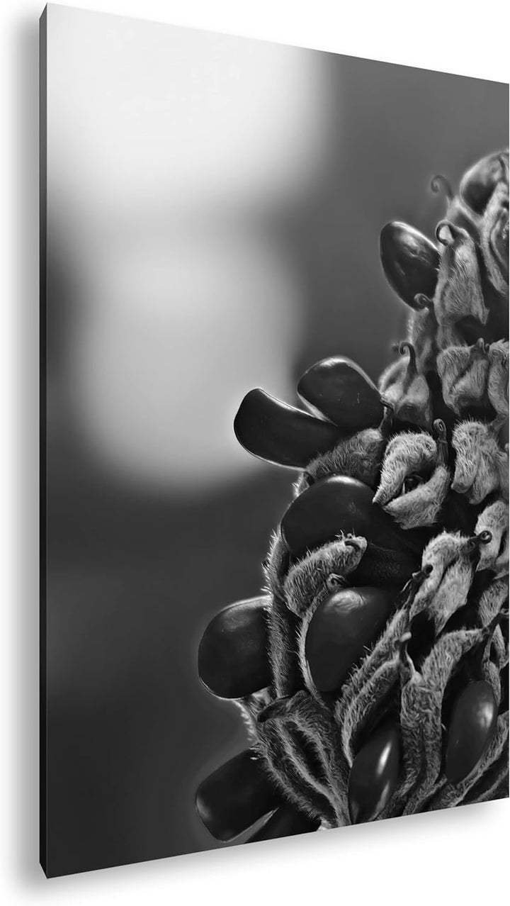deyoli Südliche Magnolie Stierbucht Format: 80x60 Effekt: Schwarz&Weiss als Leinwandbild, Motiv fert