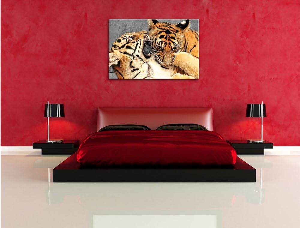 Pixxprint Zwei Junge Tiger beim Kämpfen als Leinwandbild/Grösse: 100x70 cm/Wandbild/Kunstdruck/ferti