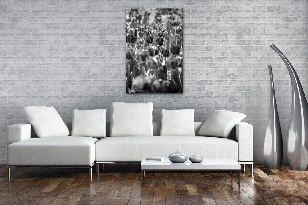 deyoli violette Tulpen Format: 80x60 Effekt: Schwarz/Weiss als Leinwand, Motiv fertig gerahmt auf Ec