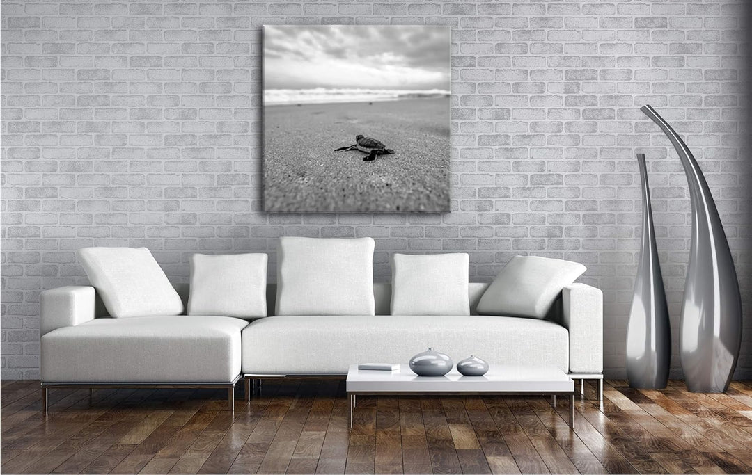 deyoli niedliche kleine Schildkröte Format: 70x70 Effekt: Schwarz&Weiss als Leinwandbild, Motiv fert