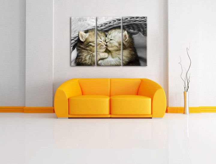Pixxprint Zwei süsse Babykatzen im Korb als Leinwandbild | Grösse: 3 Teilig (120x80) | Wandbild| Kun