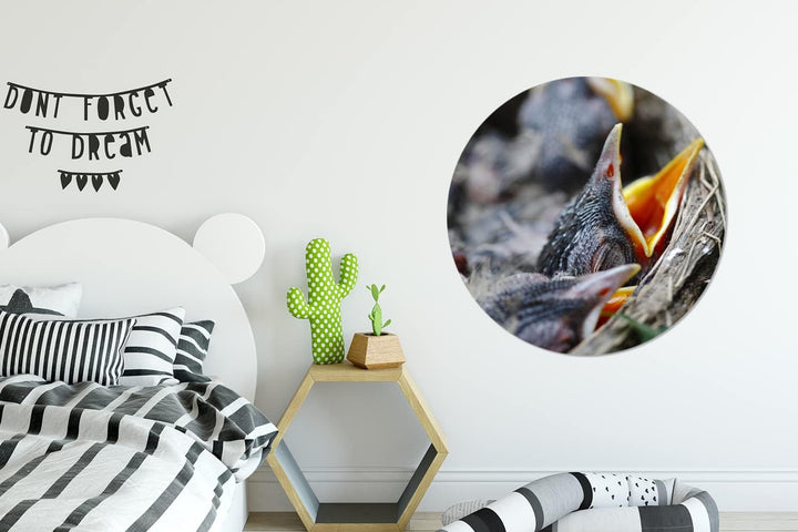 MuchoWow Wandbild Rund Wanddeko Deko Wohnzimmer Bilder 90x90 cm Junge - Robin - Essen, 90x90 cm