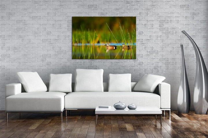 deyoli ruhige Enten auf einem See Format: 100x70 als Leinwand, Motiv fertig gerahmt auf Echtholzrahm