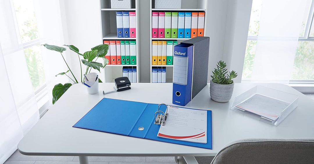 Esselte Business-Ordner mit Hebelmechanik und Aufbewahrungsschachtel Dorso 8 cm hellblau, hellblau