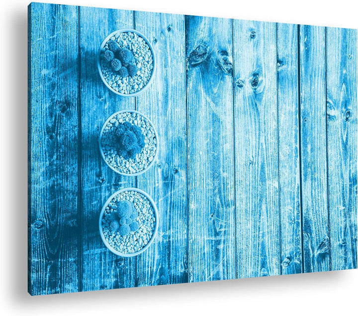 deyoli winzige Kakteen Format: 80x60 Effekt: Monocrome Blau als Leinwand, Motiv fertig gerahmt auf E
