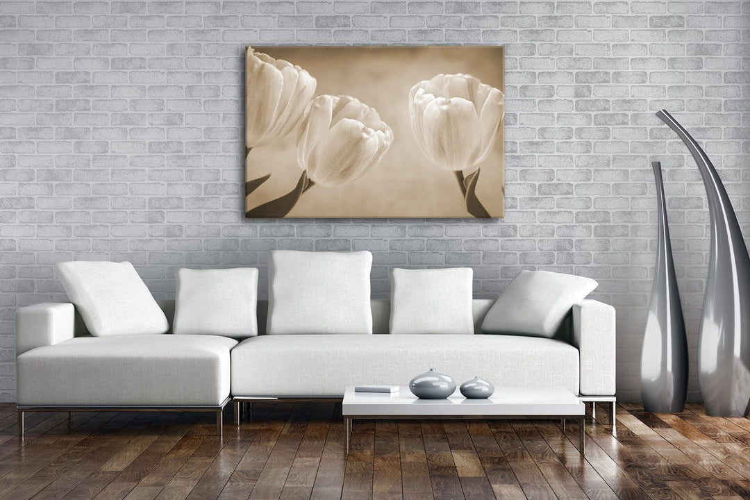 deyoli Rosafarbene Tulpen Format: 80x60 Effekt: Sepia als Leinwandbild, Motiv fertig gerahmt auf Ech
