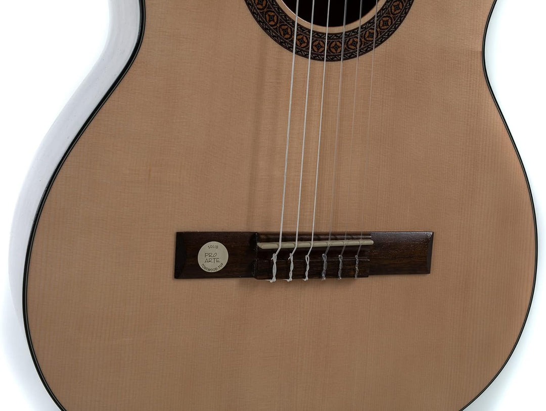Gewa Konzertgitarre Pro Arte GC210A 4/4 Grösse, Made in Europa, GC210A 4/4