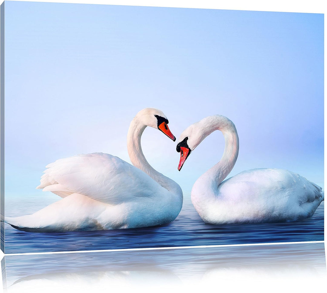 Pixxprint Zwei prächtige Schwäne auf dem Wasser, Format: 100x70 auf Leinwand, 100x70