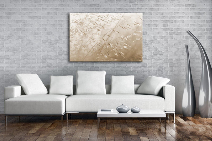 deyoli Wiesengräser Format: 80x60 Effekt: Sepia als Leinwand, Motiv fertig gerahmt auf Echtholzrahme