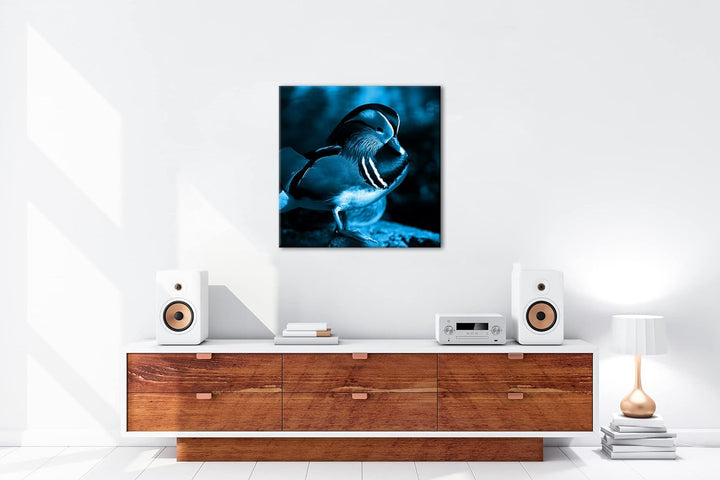deyoli niedliche Holzente Format: 70x70 Effekt: Monocrome Blau als Leinwandbild, Motiv fertig gerahm