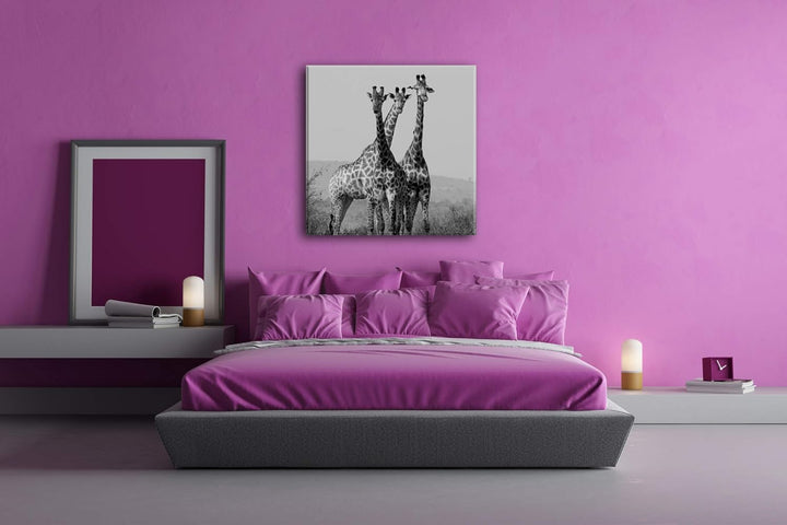 deyoli süsse Giraffen Format: 70x70 Effekt: Schwarz&Weiss als Leinwandbild, Motiv fertig gerahmt auf