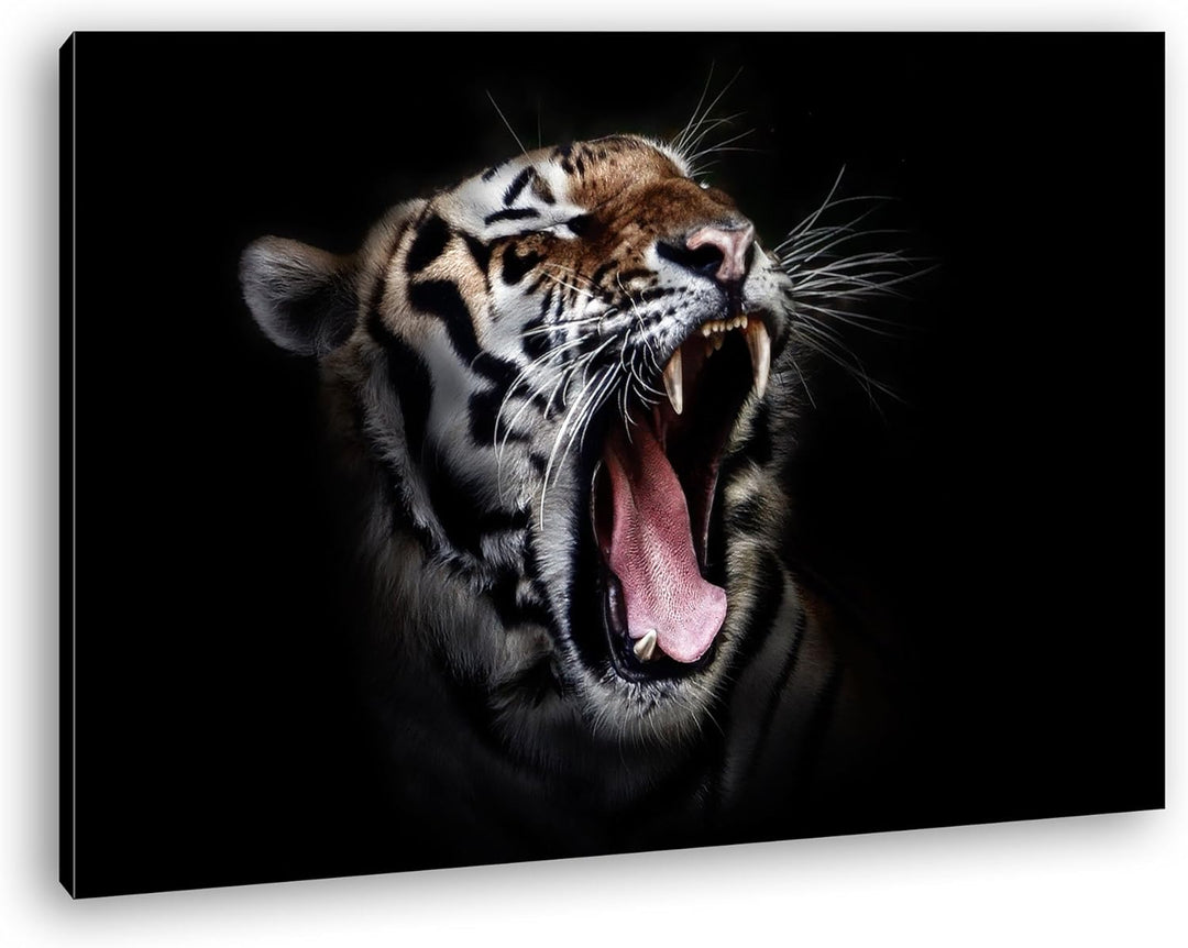 deyoli Dark brüllender Tiger Format: 100x70 als Leinwandbild, Motiv fertig gerahmt auf Echtholzrahme