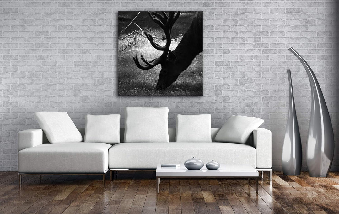 deyoli Rothirsch beim Essen Format: 60x60 Effekt: Schwarz&Weiss als Leinwandbild, Motiv fertig gerah