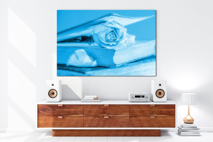 deyoli weisse Rose im Buch Format: 60x40 Effekt: Monocrome Blau als Leinwand, Motiv fertig gerahmt a
