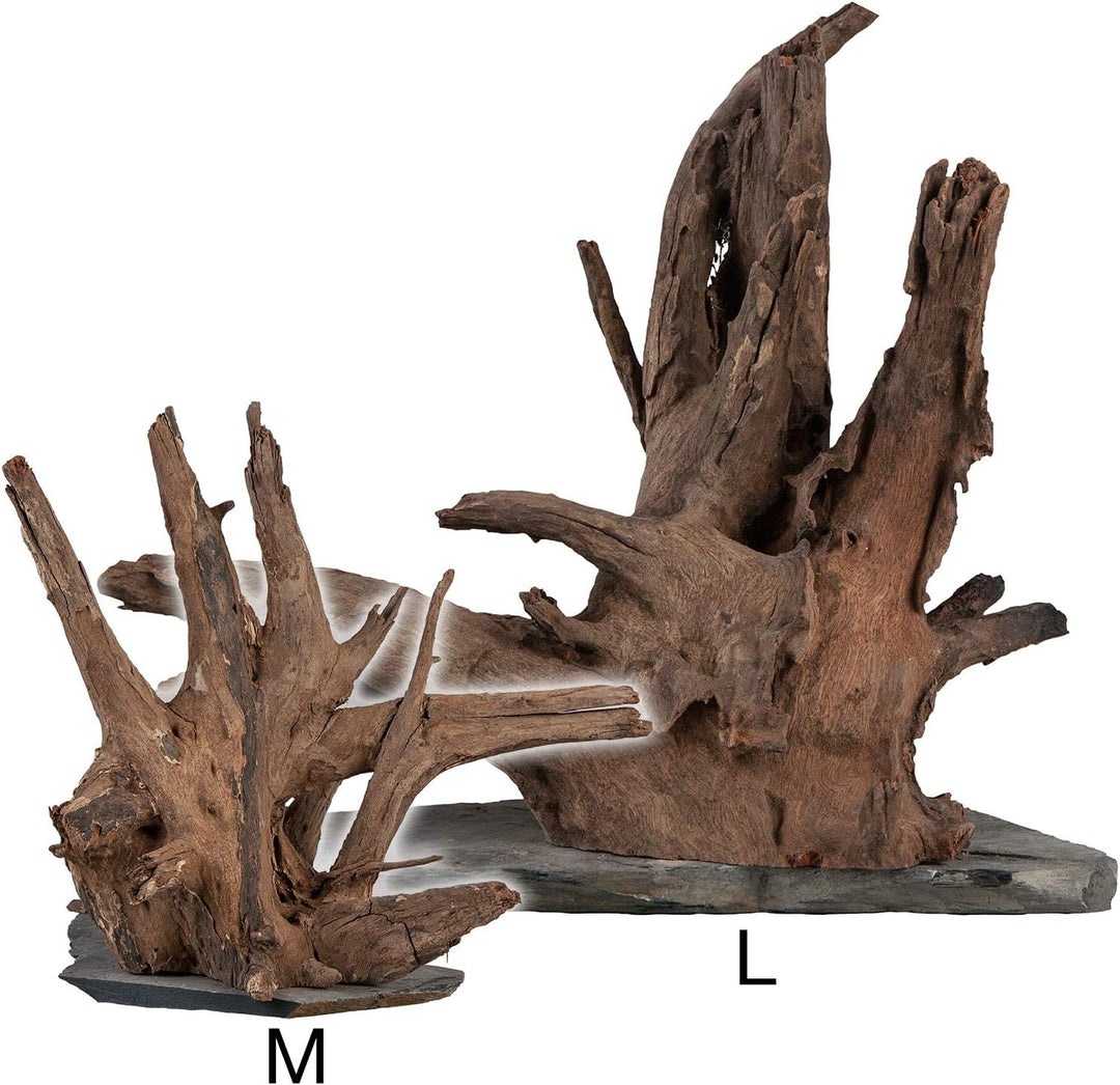 sera Scaper Wood L 30 - 35 cm - Kompaktes Wurzelholz auf Schieferplatte in zwei Grössen L (Stück von