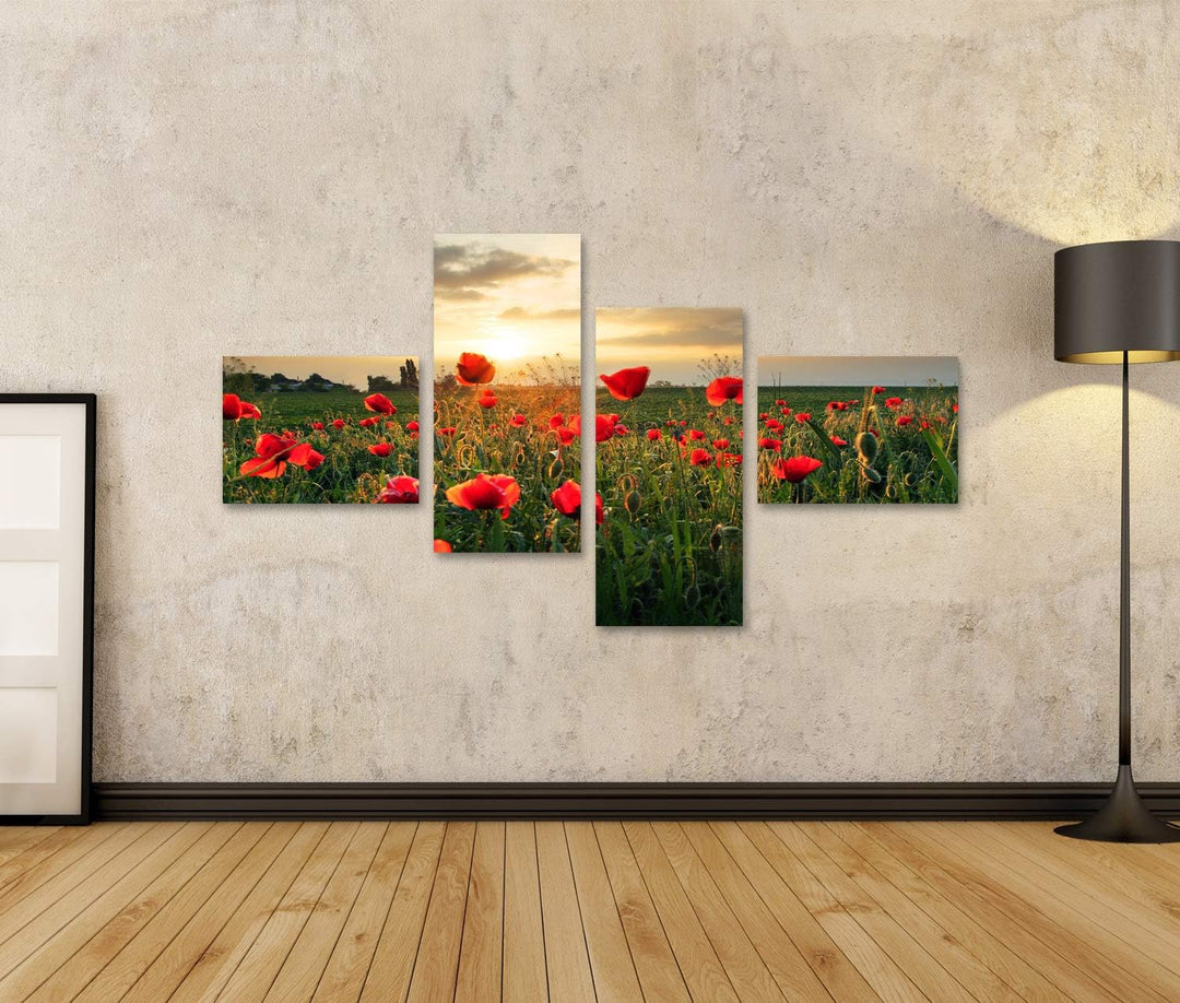 Bild Bilder auf Leinwand Mohnblumen Feldblume bei Sonnenuntergang Wandbild, Poster, Leinwandbild PYC