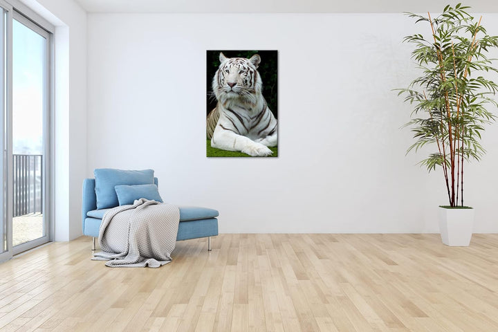 deyoli majestätischer Tiger im Format: 80x60 als Leinwandbild, Motiv fertig gerahmt auf Echtholzrahm