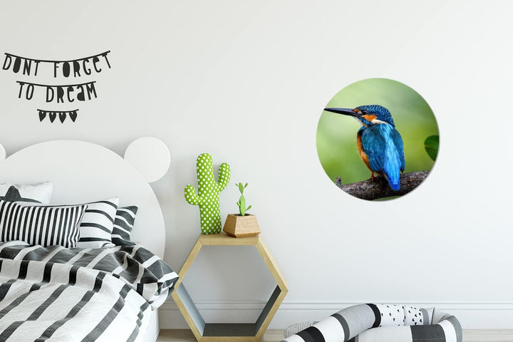 MuchoWow Wandbild Rund Wanddeko Deko Wohnzimmer Bilder 30x30 cm Eisvogel - Zweig - Blau, 30x30 cm
