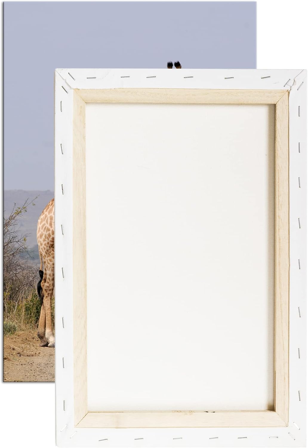 deyoli süsse Giraffen Format: 100x70 als Leinwand, Motiv fertig gerahmt auf Echtholzrahmen, Hochwert