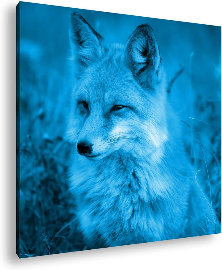 deyoli ruhiger Fuchs Format: 70x70 Effekt: Monocrome Blau als Leinwand, Motiv fertig gerahmt auf Ech