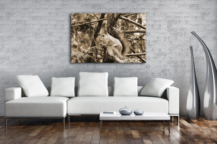 deyoli niedliches Eichhörnchen Format: 80x60 Effekt: Sepia als Leinwand, Motiv fertig gerahmt auf Ec