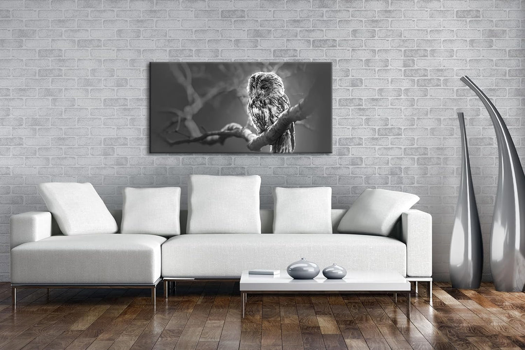deyoli Lauernde Eule Panorama 120x60 cm Effekt: Schwarz/Weiss als Leinwandbild, Motiv fertig gerahmt